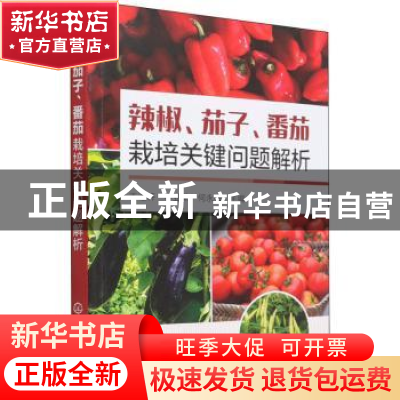 正版 辣椒茄子番茄栽培关键问题解析 编者:王迪轩//李亚荣//何永