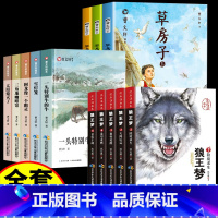 [全套13册]狼王梦+草房子+曹文轩画册 [正版]狼王梦沈石溪全套5册动物小说全集完整版三四五六年级小学生课外阅读故事书