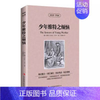 少年维特之烦恼 [正版]全四册了不起的盖茨比少年维特之烦恼双城记八十天环游地球读名著学英语 英汉互译双语读物 中英文对照