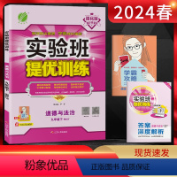 思想政治 九年级下 [正版]2024春 实验班提优训练九年级下册道德与法治人教版RMJY 初三9九年级下册政治同步训练习