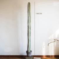 家柏饰(CORATED)仿真大型仙人掌盆景仙人柱墨西哥天轮柱装饰摆件落地 Cereus秘鲁天轮柱180cm