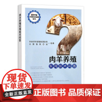 [正版]肉羊养殖实用技术问答 9787109287211 肉羊养殖 实用技术 问答 养殖技术 技术问答 肉羊 养殖科技