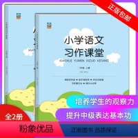 三年级上下册 小学三年级 [正版]小学生语文习作课堂三年级上下册2本 阅读作文书好词好句好段语文同步训练阅读理解看图写写