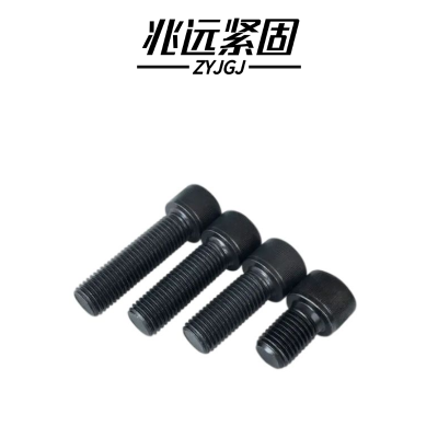 兆远紧固 内六角螺钉(个)(10*50)