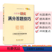 语文满分答题技巧 小学升初中 [正版]小升初语文满分答题技巧 小学生3三4四5五6六年级上册下册语文总复习 小学升初中学