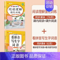 (2本)阅读理解+看拼音写生字词语 三年级上 [正版]同步人教版斗半匠小学语文专项训练一年级全套看拼音写词语二年级下册三