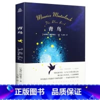 [正版]诺贝尔文学奖大系青鸟 梅特林克著 名著读物 青少年儿童读物课外书2-3-5-6年级经典名篇文学书籍文学经典作品外