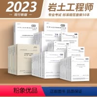 [全套50本]2024年岩土工程师考试规范 [正版]2024年注册岩土工程师专业考试用书专业案例辅导手册精讲精练历年真题
