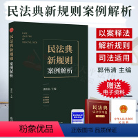 [正版]2020年版民法典新规则案例解析(以案释法解释规则司法适用) 民法典新规的基本要义案例分析适用难点 2020民