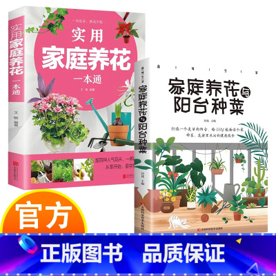 实用家庭养花+家庭养花与阳台种菜 [正版]实用家庭养花阳台种菜一本通 彩图详解 花卉养护知识 养花教程花卉知识介绍种植栽