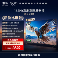 雷鸟 鹏6 24款 55英寸 4K超薄全面屏 远场语音 3+64GB 智能液晶平板游戏教育电视机55S375C-JN