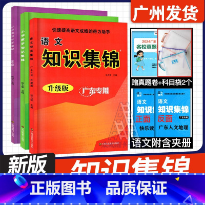 语文数学英语 共3册 小学升初中 [正版]广东2024版小学语文数学英语知识集锦五六年级小升初复习 工具书知识大全345
