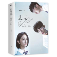 音像《想见你》写真书三凤制作 著