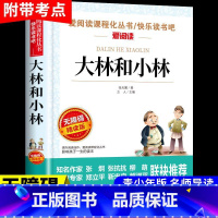 [无障碍阅读]大林和小林 [正版]大林和小林张天翼 小学生三年级四年级五年级上册下册阅读课外书的书籍 儿童文学全集宝葫芦