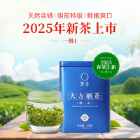 2025年新茶春茶安徽天方茶叶100g一级硒茶绿茶春茶 罐装条形茶 雨前浓香耐泡型春茶炒青绿茶 安徽茶石台硒茶