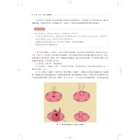 [M]私密整形外科手术图解-9787547859957