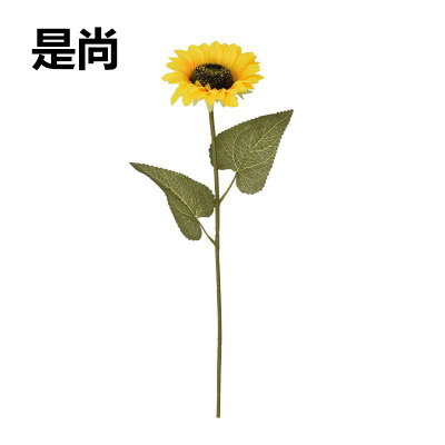 是尚 假花 单头/个