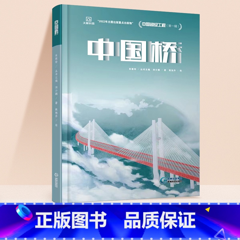 中国桥 [正版]中国超级工程丛书全4册中国桥+核电+高铁+天眼青少年儿童科普百科全书绘本小学生课外阅读书籍8-12岁幼儿