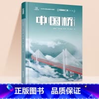 中国桥 [正版]中国超级工程丛书全4册中国桥+核电+高铁+天眼青少年儿童科普百科全书绘本小学生课外阅读书籍8-12岁幼儿
