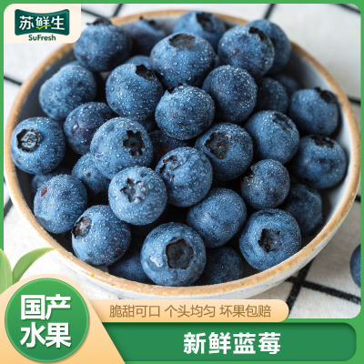 SF快递[苏鲜生] 新鲜辽宁蓝莓 个头饱满 4盒 单果15mm+ 125g/盒 口感甜蜜