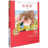 音像狼蝙蝠/全国儿童文学奖大奖书系冰波