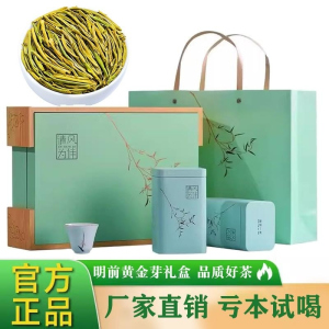 2026新茶特级安吉特产白茶新茶明前黄金芽茶叶正宗绿茶罐装250g