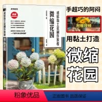 [正版]粘土手作手工教程书籍 DIY手工迷你黏土花制作教程微缩花园 附视频教程 手作时光