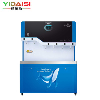 意黛斯 YIDAISI 商用直饮机立式开水器工厂公司学校校园直饮水机RO反渗透净水器YDSZY-6AH两开四净