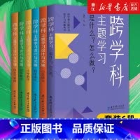 [套装6册]跨学科主题学习设计与实施丛书 [正版]多册任选跨学科主题学习设计与实施丛书6册 是什么怎么做 小学语文数学初