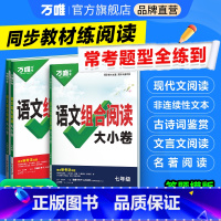 语文组合阅读大小卷 七年级 [正版]新书2025万唯初中语文组合阅读大小卷初一初二初三789年级阅读理解专项组合训练测试