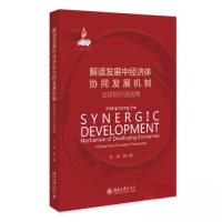 正版新书]解读发展中经济体协同发展机制:全球双环流视角张辉97