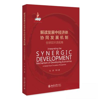 正版新书]解读发展中经济体协同发展机制:全球双环流视角张辉97