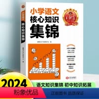 王朝霞小学核心知识集锦[语文] 小学通用 [正版]王朝霞小学语文阅读训练100篇超详解古诗文阅读理解专项强化训练题书人教