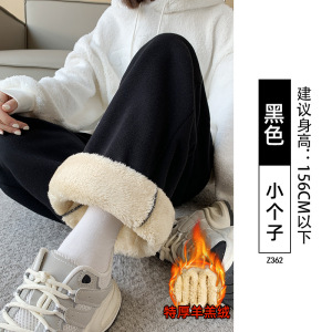 羊羔绒运动裤子女款新款秋冬加厚棉裤小个子直筒阔腿加绒卫裤_812