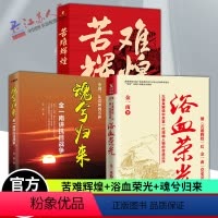 [正版]金一南书籍全3册 苦难辉煌+浴血荣光+魂兮归来 金一南讲抗日战争金一南书籍书 党史开讲历史巨著党史军史书籍