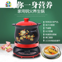 智能电炖锅砂锅煲汤家用玻璃养生锅套装全自动煮粥大容量 FENGHOU 5100+5L玻璃锅