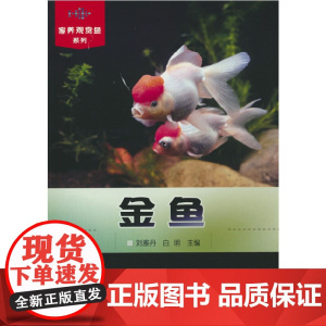 金鱼(家养观赏鱼系列)