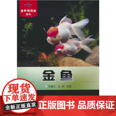 金鱼(家养观赏鱼系列)