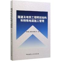 正版新书]隧道及地铁工程明挖结构和特殊地层施工管理编者:丁睿|