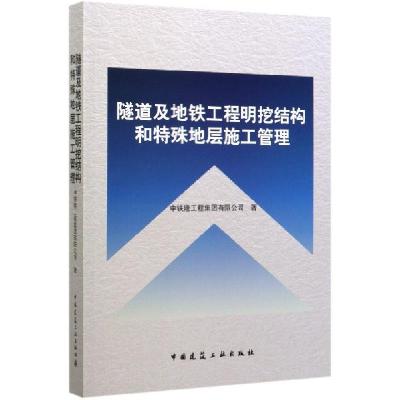 正版新书]隧道及地铁工程明挖结构和特殊地层施工管理编者:丁睿|