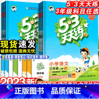 语文·人教版 三年级下 [正版]53天天练三年级上册语文数学英语全套人教版苏教版北师同步训练小学3年级五三5.3练习册试