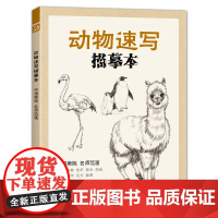 经典全集 动物速写描摹本 零基础画画入门新手自学教程书籍线描花卉临摹手绘初学者学绘画教材铅笔画素描速写描摹画稿美院名师范