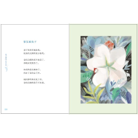 [M]月亮的歌谣 (日)金子美铃 著 吴菲 译 -9787559726292