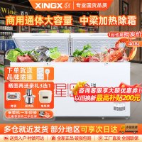 星星(XINGX)BD/BC-408GD冰柜商用大容量全冷冻冷藏单温转换冷柜408升保鲜设备冷藏柜肉类冷冻柜