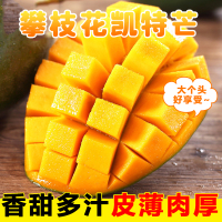 [熊猫鸟]精选攀枝花凯特芒 3斤 特大果 单果600g以上 当季新鲜 热带水果