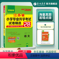 [正版]备考2024小升初升学语文模拟卷 2023年江苏省小学毕业升学考试真题试卷精选28套春雨教育六年级小考总复习资