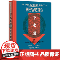下水道:地下城市折叠史 病玫瑰系列 斯蒂芬·哈利迪 著 为下水道著书立传,400幅图像档案 病玫瑰 见证疯狂 理想国正版