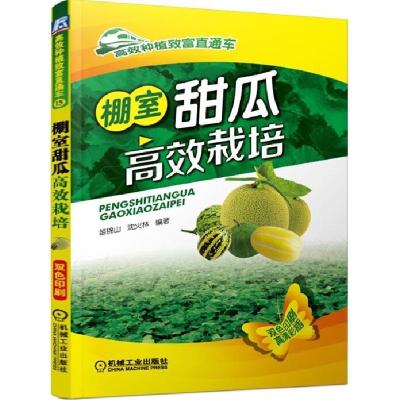 正版新书]棚室甜瓜高效栽培苗锦山9787111484981