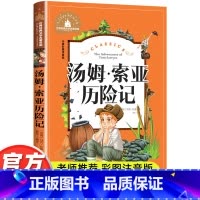 汤姆·索亚历险记 [正版]汤姆索亚历险记马克吐温著彩图小学生课外阅读书籍一二年级三年级必读儿童读物6-7-8-9-10岁