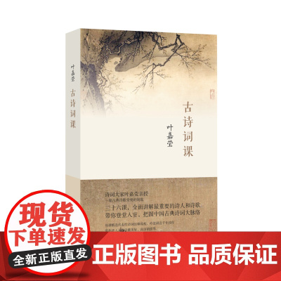 古诗词课 叶嘉莹 人间词话 迦陵中国古诗词大全集古典文学理论古典诗歌诗词集词典唐诗宋词元曲全唐诗唐诗三百首给孩子的诗